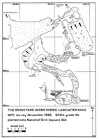 NPC J87 Lancaster Hole - Graveyard Avens